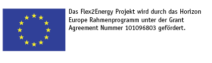 2023 Flex2Energy EU Text dt