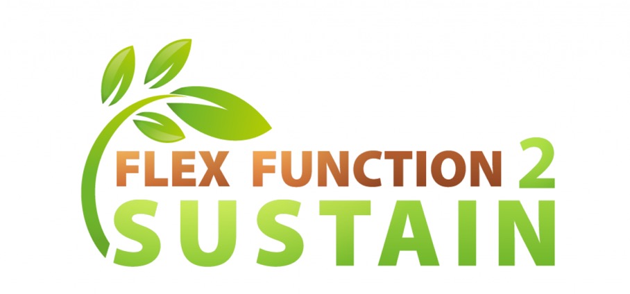 Logo FlexFunction2Sustain